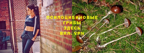 круглые Аркадак