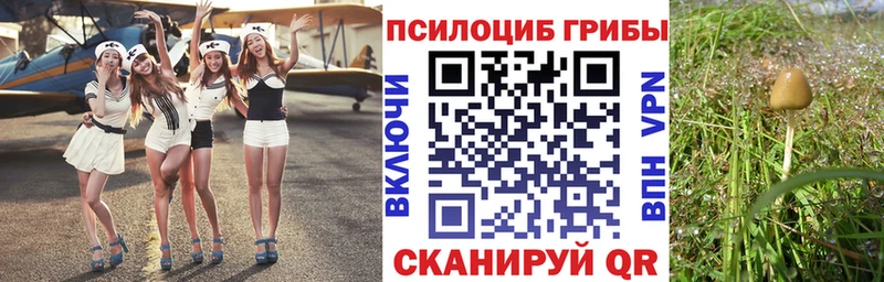 Псилоцибиновые грибы MAGIC MUSHROOMS  наркота  Черемхово 